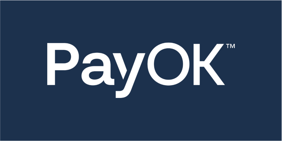 PayOK - Initial Investment